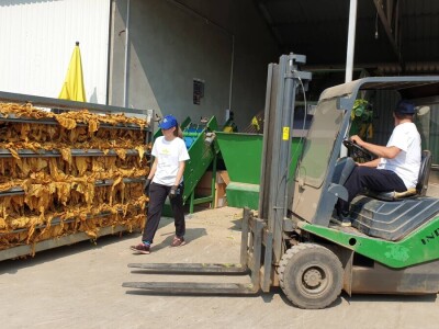 20. Dan polja duhana - Hrvatsk duhani