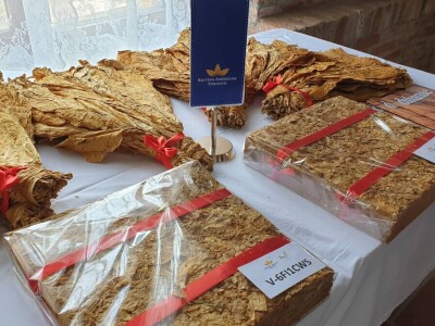 20. Dan polja duhana - Hrvatsk duhani