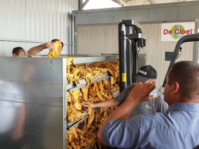 20. Dan polja duhana - Hrvatsk duhani