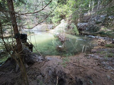 20 godina od reintrodukcije dabra u BiH
