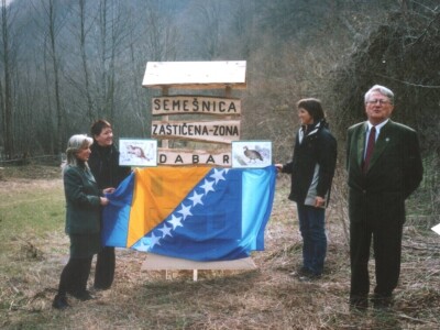 20 godina od reintrodukcije dabra u BiH