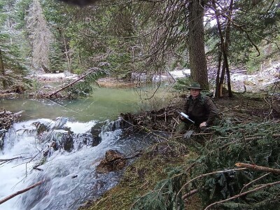 20 godina od reintrodukcije dabra u BiH