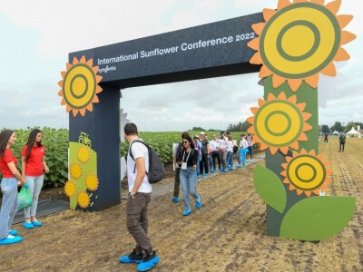 20. Međunarodna konferencija o suncokretu u Novom Sadu
