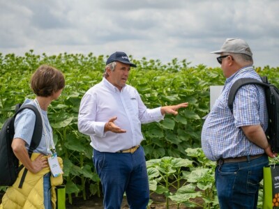20. Međunarodna konferencija o suncokretu u Novom Sadu