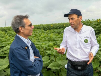 20. Međunarodna konferencija o suncokretu u Novom Sadu