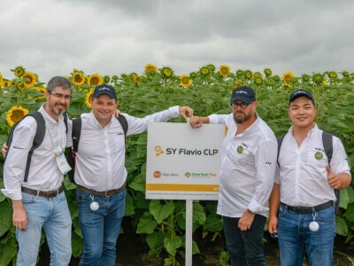 20. Međunarodna konferencija o suncokretu u Novom Sadu