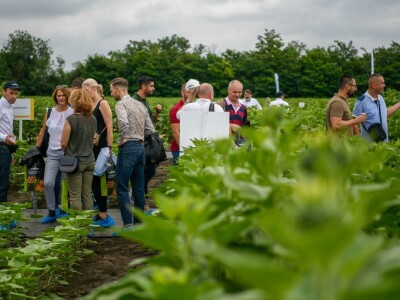 20. Međunarodna konferencija o suncokretu u Novom Sadu