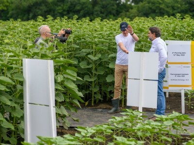 20. Međunarodna konferencija o suncokretu u Novom Sadu