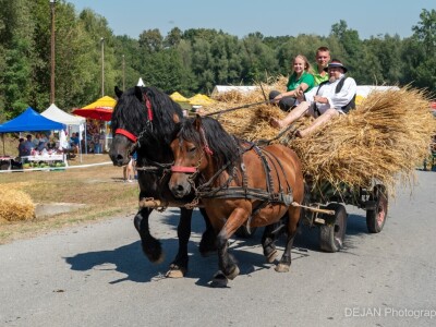 20. Ploščićko mašinanje