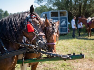20. Ploščićko mašinanje