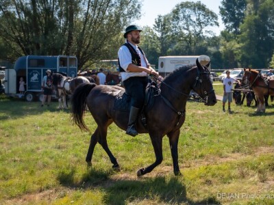 20. Ploščićko mašinanje