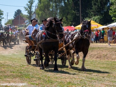 20. Ploščićko mašinanje