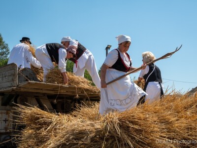 20. Ploščićko mašinanje