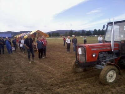 Oranje u Požegi, prvenstvo Hrvatske