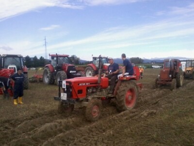 Oranje u Požegi, prvenstvo Hrvatske