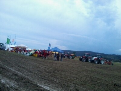 Oranje u Požegi, prvenstvo Hrvatske