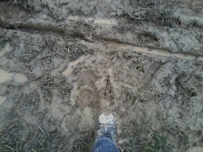 Oranje u Požegi, prvenstvo Hrvatske