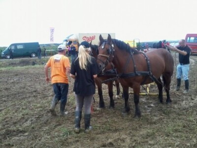 Oranje u Požegi, prvenstvo Hrvatske