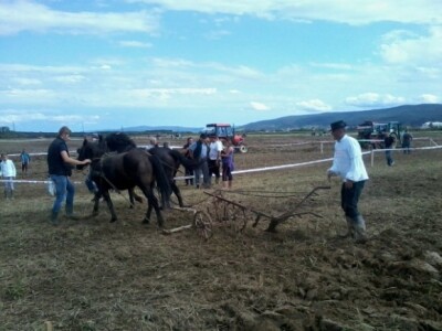 Oranje u Požegi, prvenstvo Hrvatske