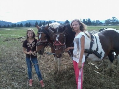 Oranje u Požegi, prvenstvo Hrvatske