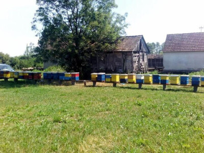 Gagića pčelinjak u Kijevcima