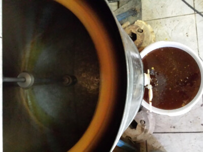 Med - najzdravija hrana