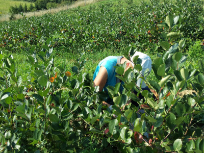 PG Rad-Kom d.o.o. PG Rad-Kom d.o.o.