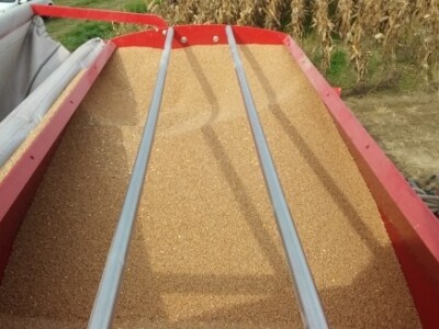 Jesenska sjetva pred kišu