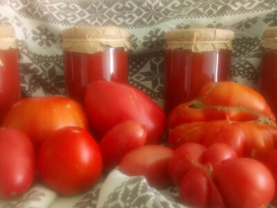 rajčica i prerađevine rajčica i prerađevine