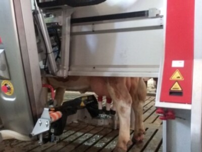 I na sajmu roboti moraju redovito musti