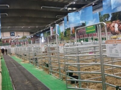 Stoka još treba doći