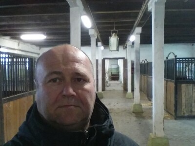 Lipicanci zimi na Ivandvoru