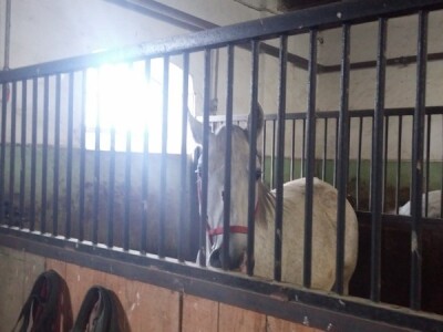 Kratkotrajna zraka sunca