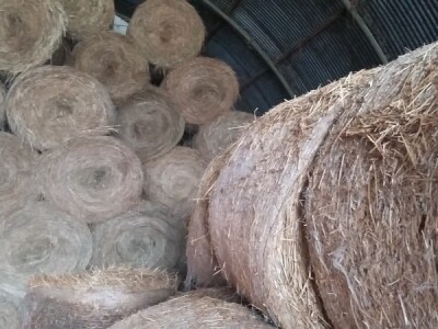 Hrane treba biti dovoljno