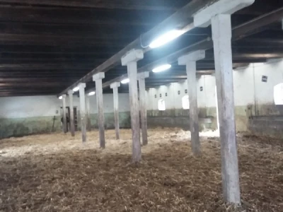 Štala za slobodno držanje