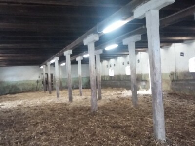 Štala za slobodno držanje