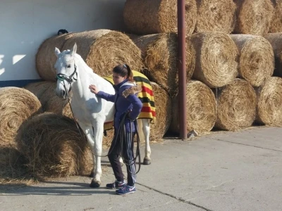 Djeca i konji
