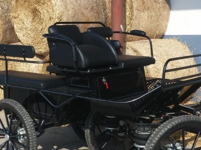 Najčešći posao im je zaprega