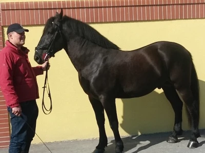 Moraju biti uredni i gotovo idealni
