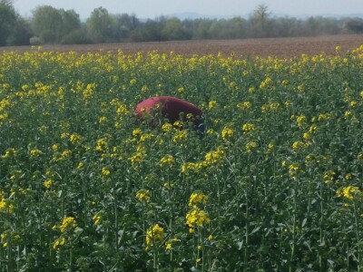 OPG Ostrihon u Račinovcima OPG Ostrihon u Račinovcima