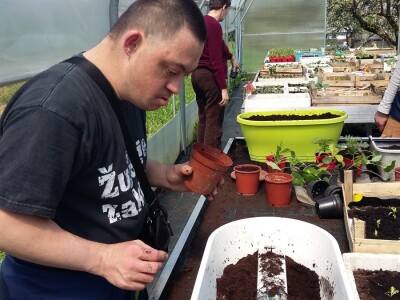 Presadnice na uzdignutim gredicama