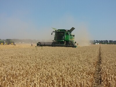 Novocommerce Donji Miholjac