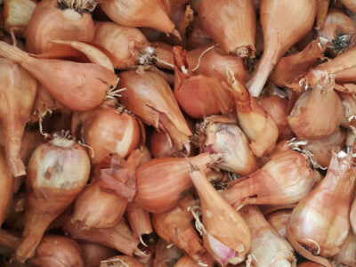 Opg Marinko Šarolić