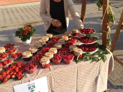 Osim jagodama namjeravaju se baviti i borovnicama