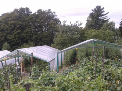 Plastenici Plastenici