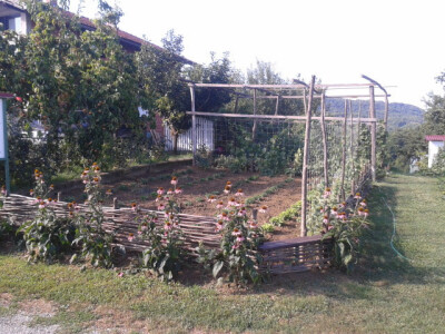 Iskoristiv svaki dio zemlje Iskoristiv svaki dio zemlje