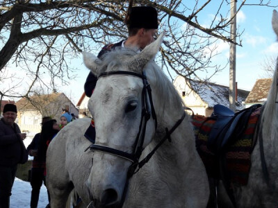 Pokladno jahanje u Soljanima