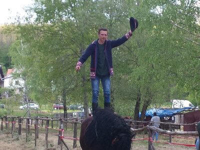 12. izložba konja Hrvatski Posavac u Novskoj