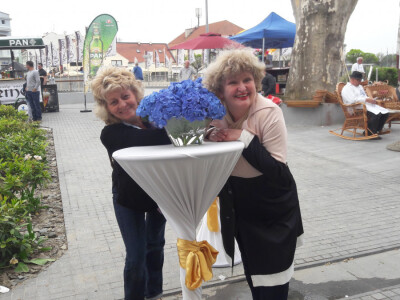 Turistička zajednica grada Vukovara