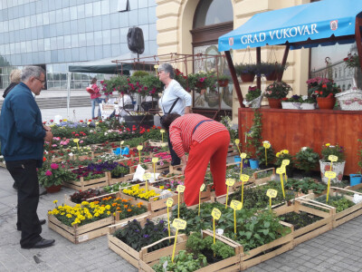 Turistička zajednica grada Vukovara
